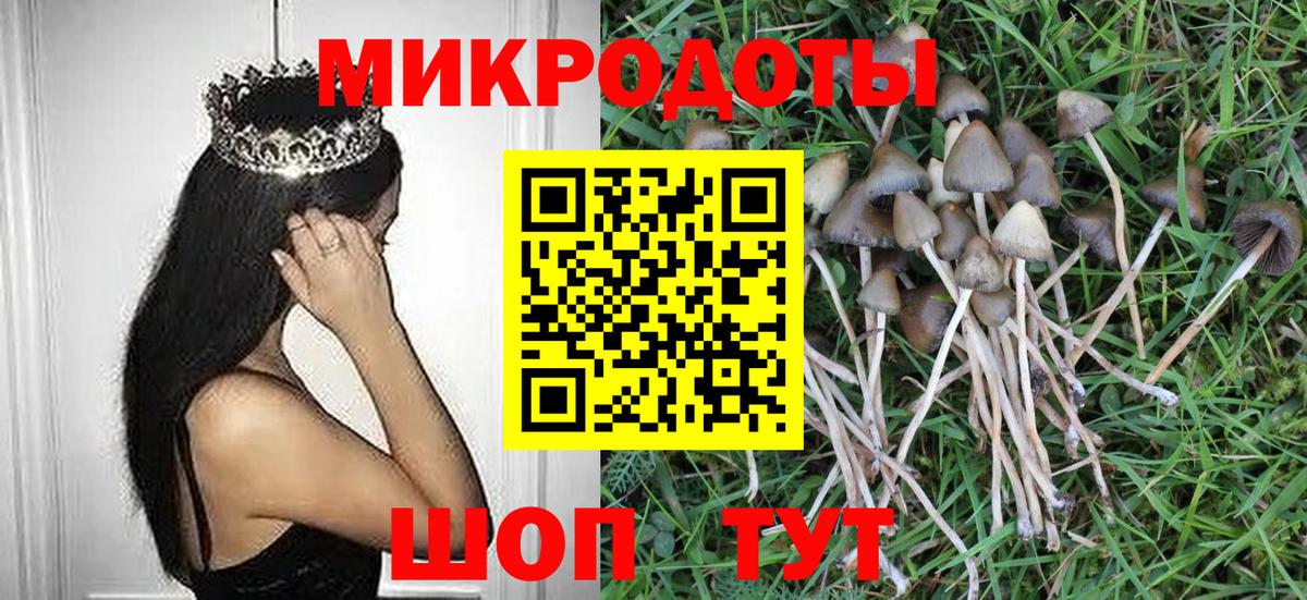 Псилоцибиновые грибы MAGIC MUSHROOMS Горячий Ключ