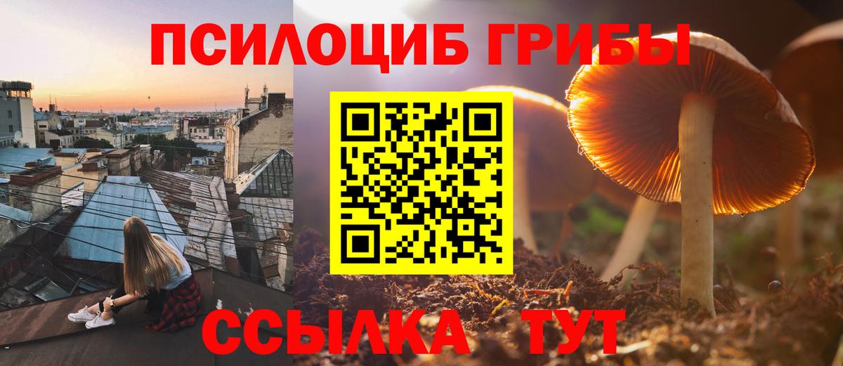 Галлюциногенные грибы Magic Shrooms  Вход с VPN  Горячий Ключ  Галлюциногенные грибы Psilocybe 